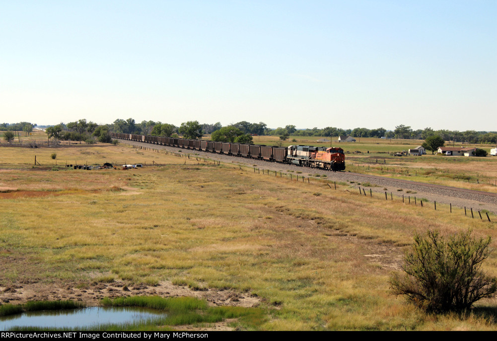 Eastbound BNSF Coal